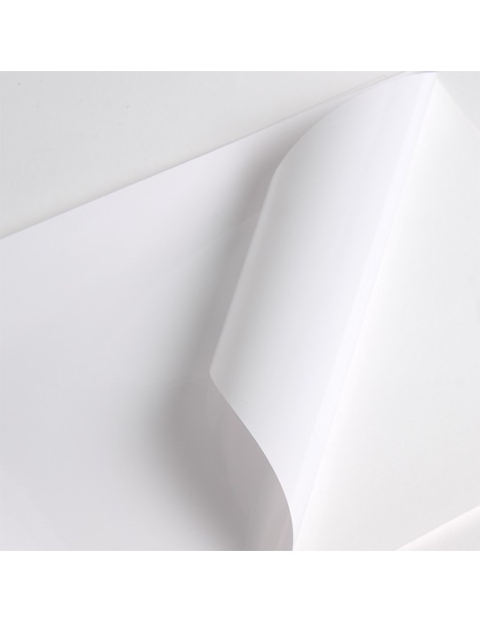 VCSR301WG1 - Blanc Brillant adh permanent super renforcé incolore